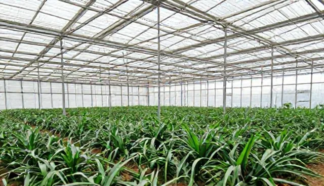 技术服务误区:场景分析与选型建议